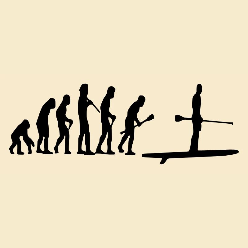 Paddle Evolution