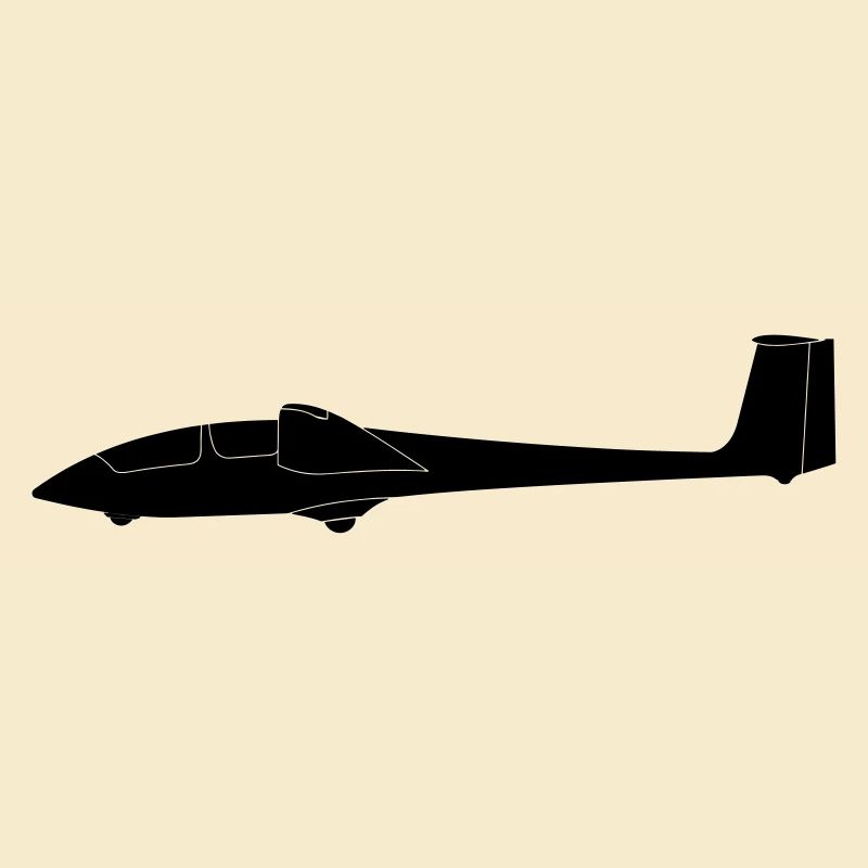 ASK 21 sailplane