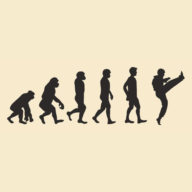 Evolution Karate