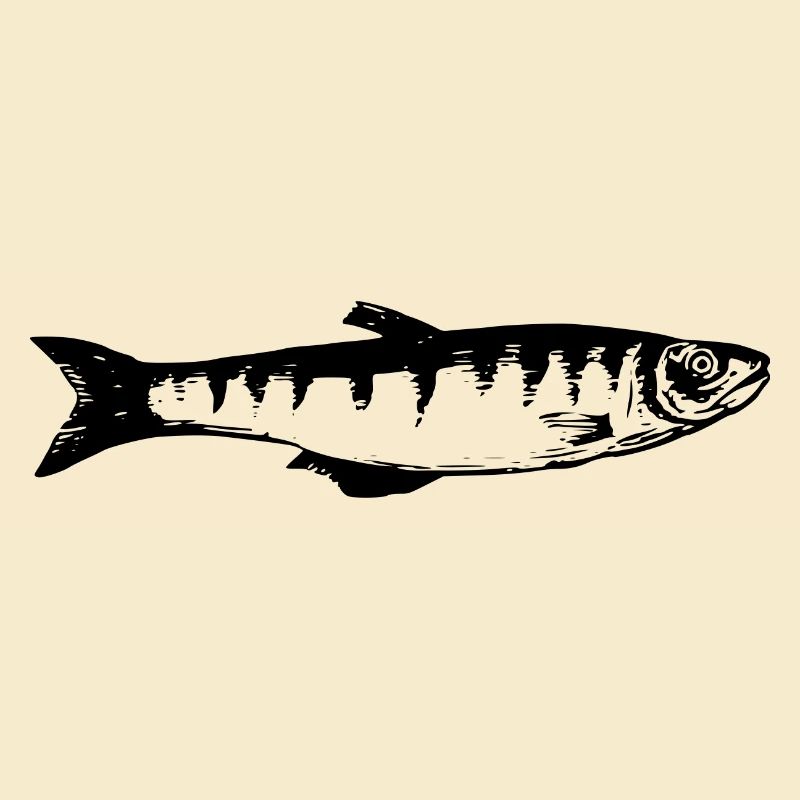 fish514