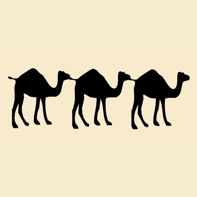 3 Kamel