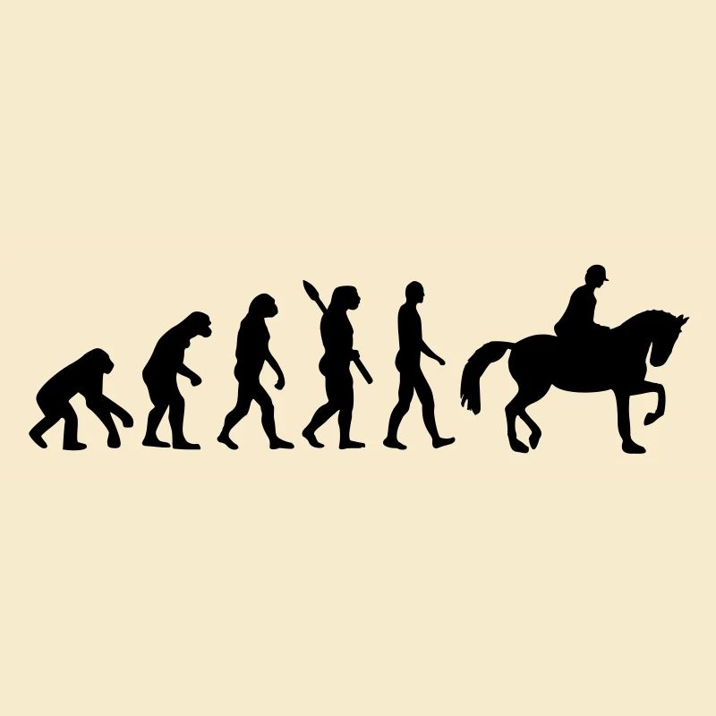 Évolution Cheval
