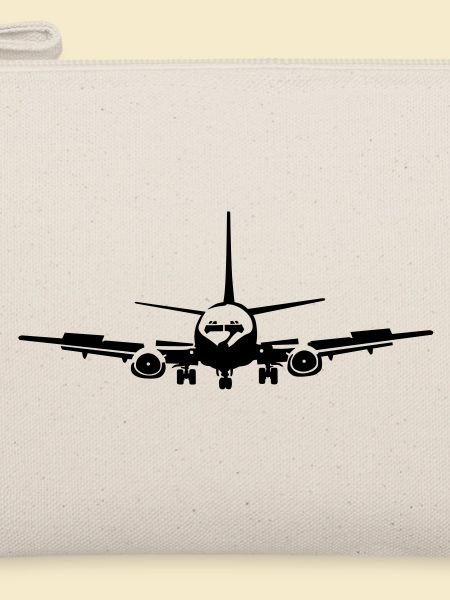 Passagierflugzeug