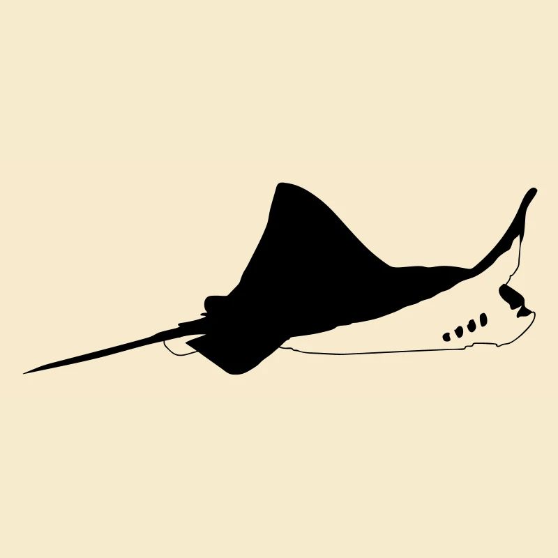Manta