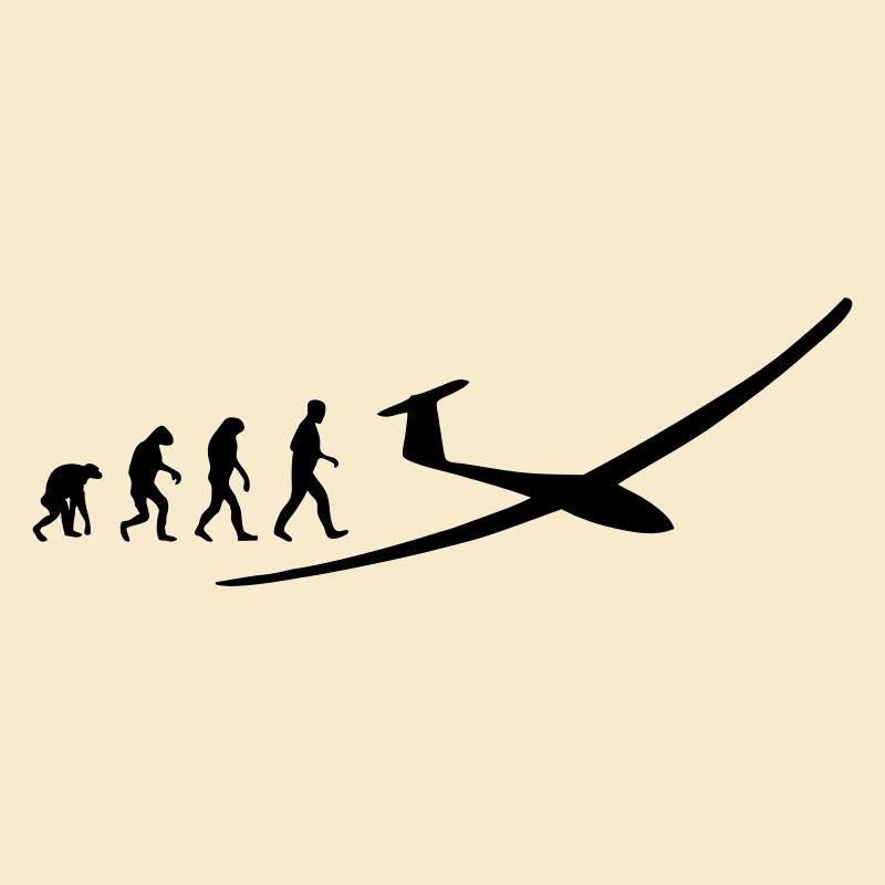 segelflugzeug evolution