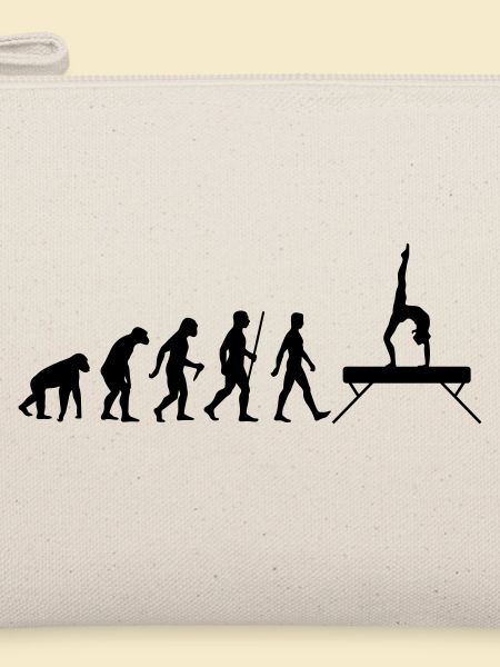 Evolution Schwebebalken