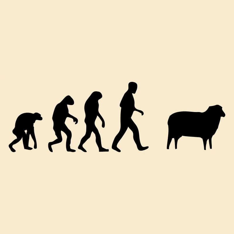 mouton evolution