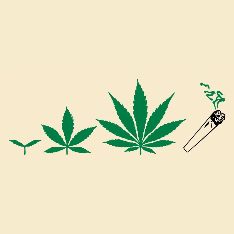 Cannabis development
