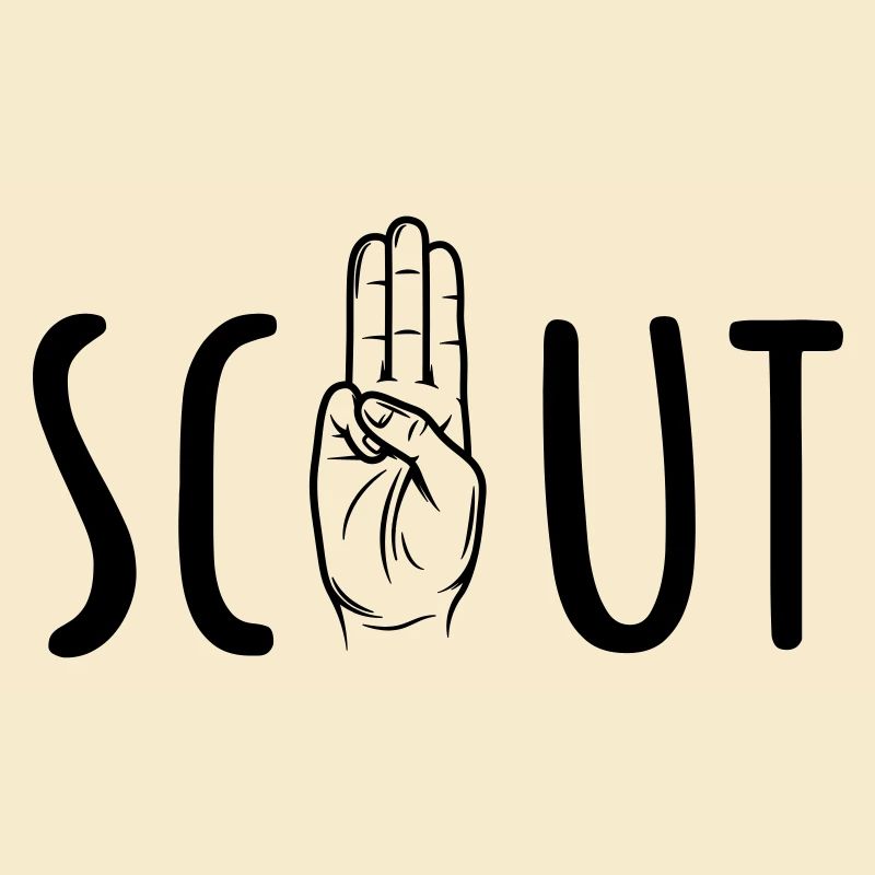 Scout / Scouting