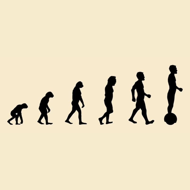 Gyroroue Evolution
