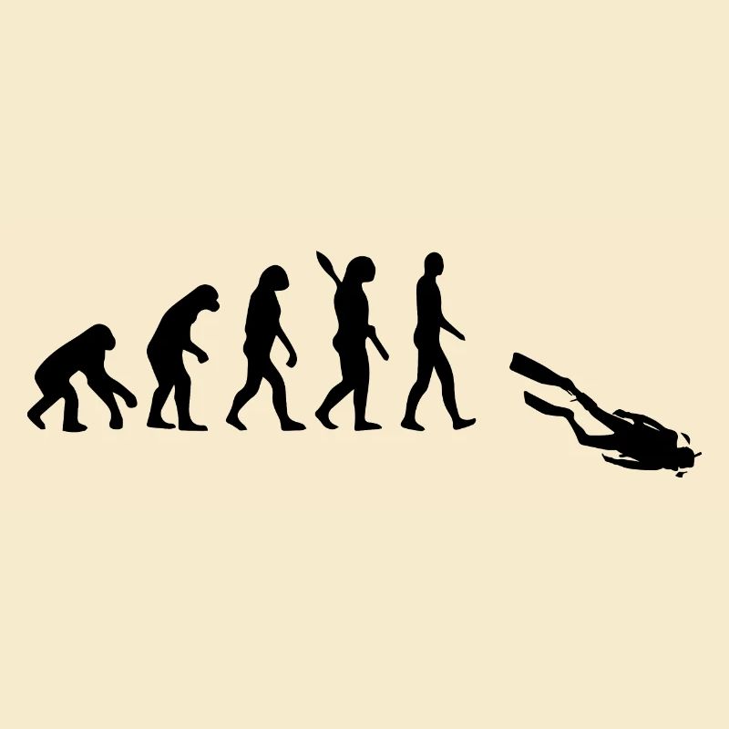 Diving Dive tauchen