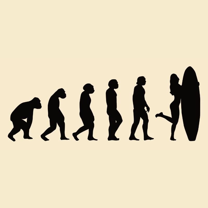Surfer Surfboard Surfing Evolution Surfing