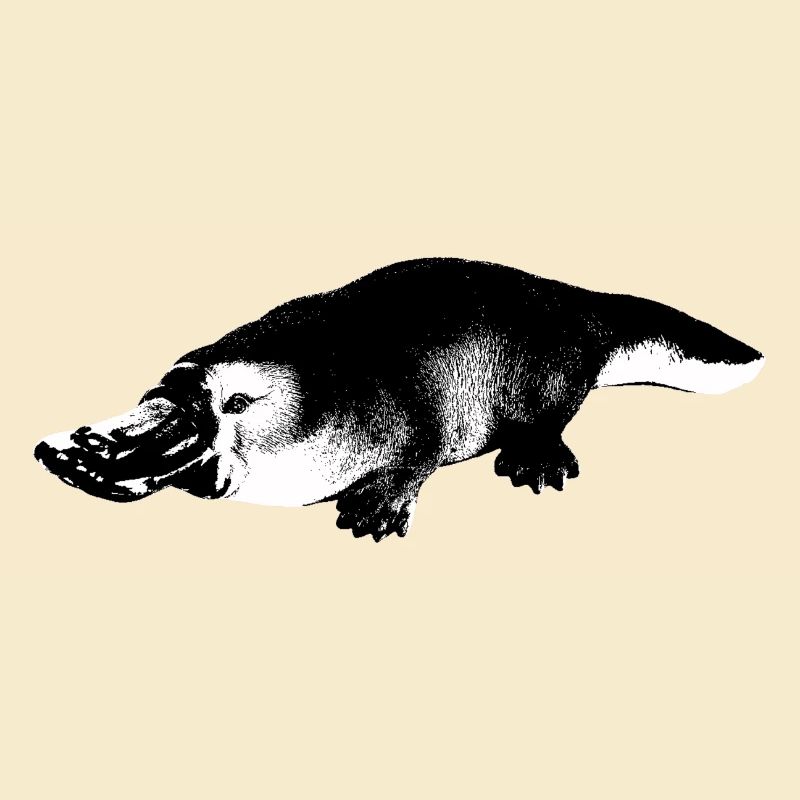 Platypus