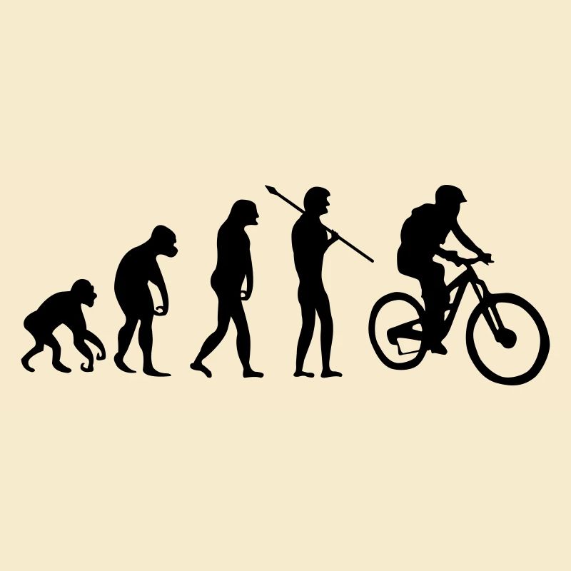 Évolution des motards