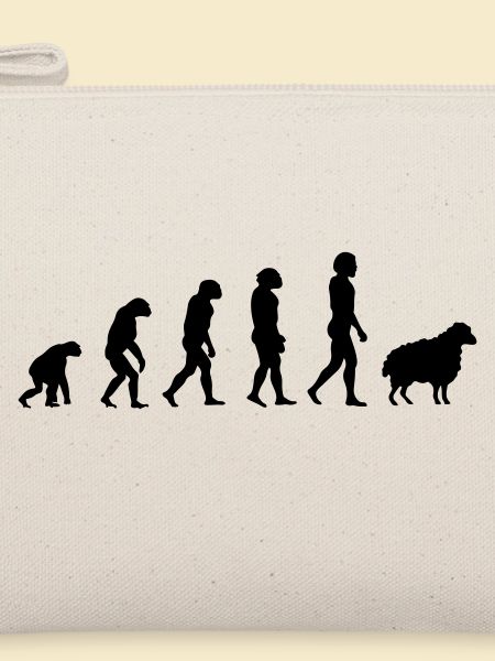 Darwin-Schafe