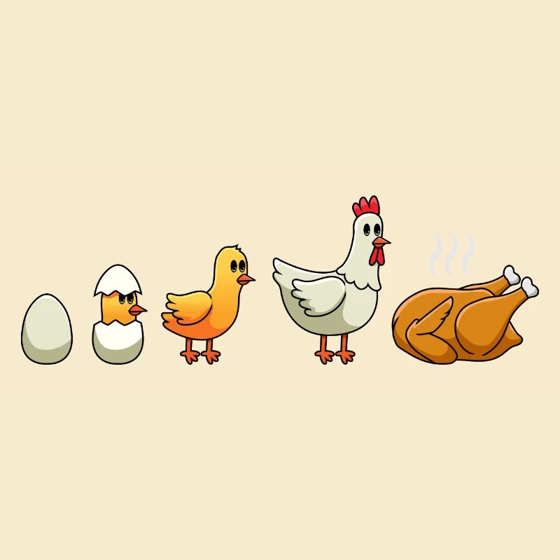Poulets Evolution Poulet Poulet Gardien de poulet Poulets