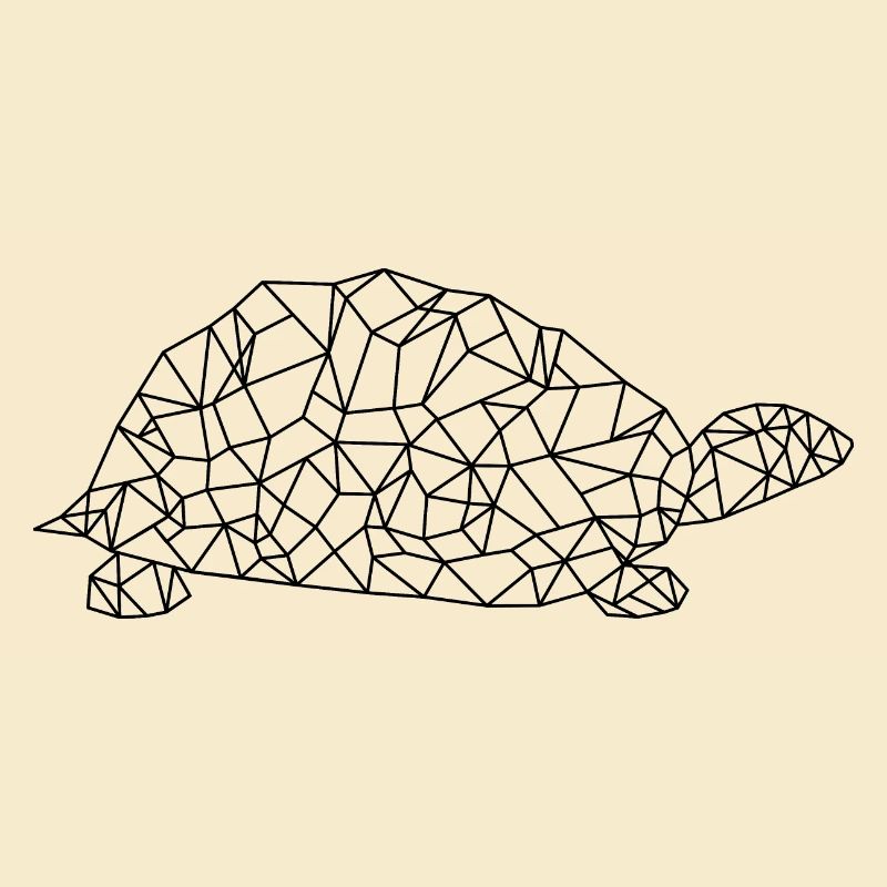 Turtle Polygon