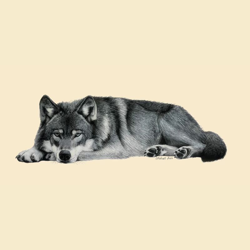 wolf