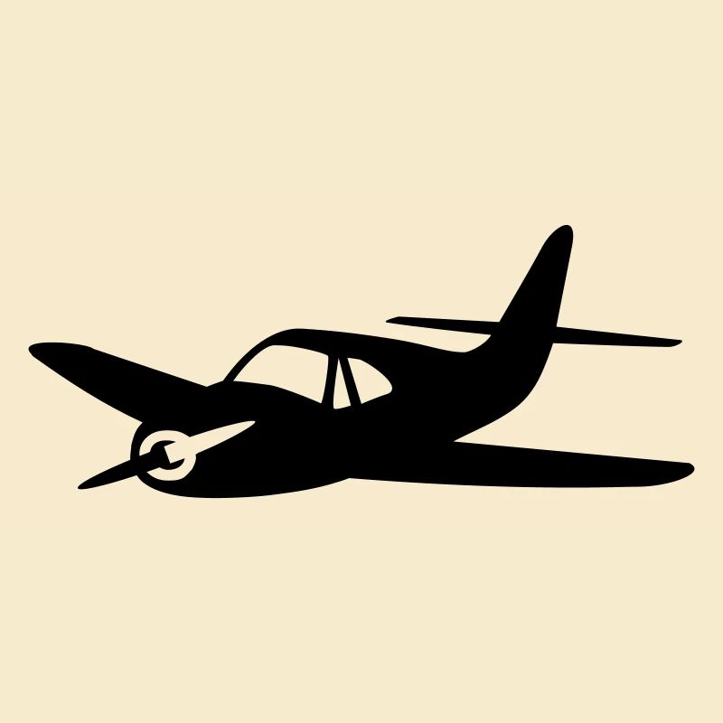 Propellerflugzeug