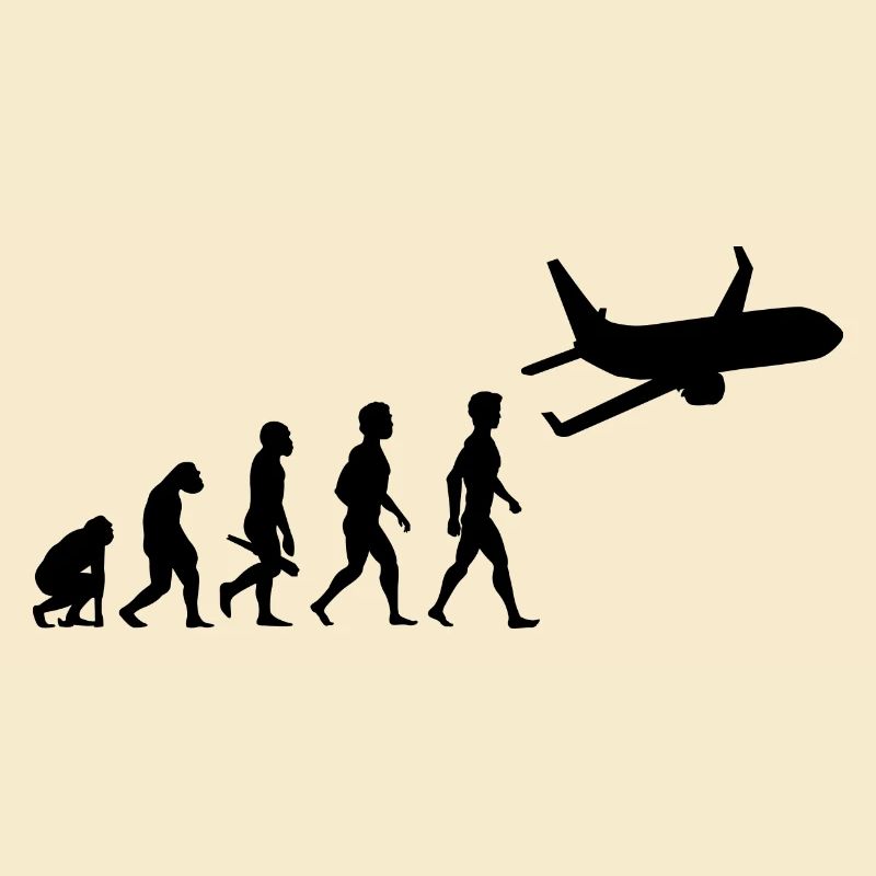 plane fliers fly evolution pilots cockpit