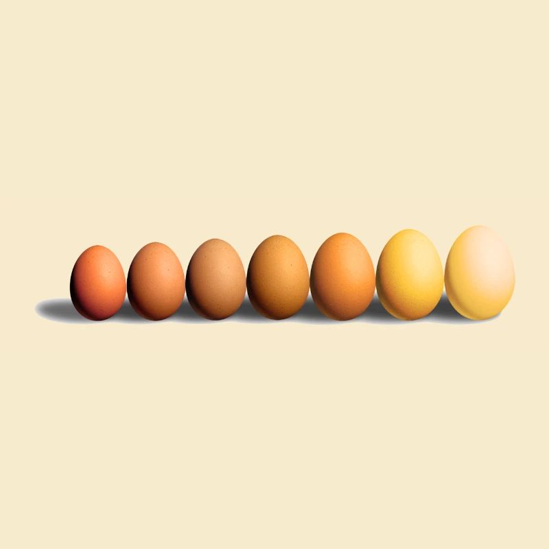 Eier