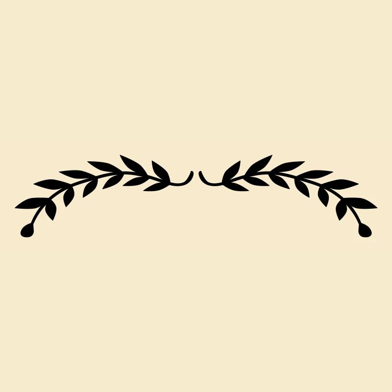 Bay leaves 2 branches