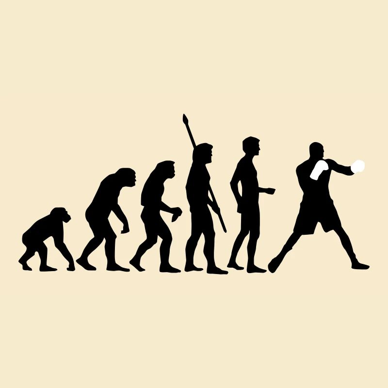 evolution_boxen_b_2c