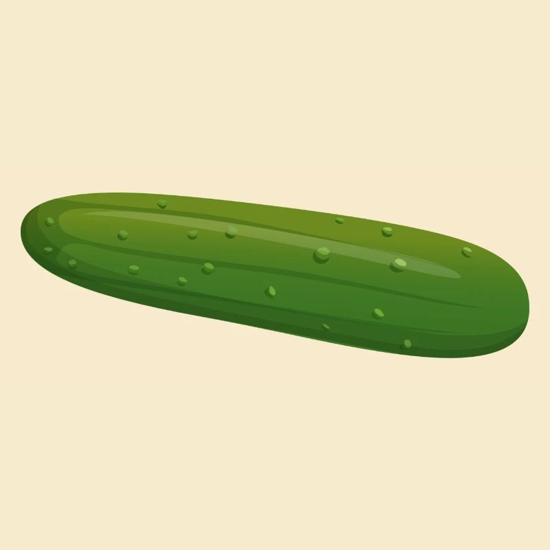 cucumber cucumbers veggie vegetable
