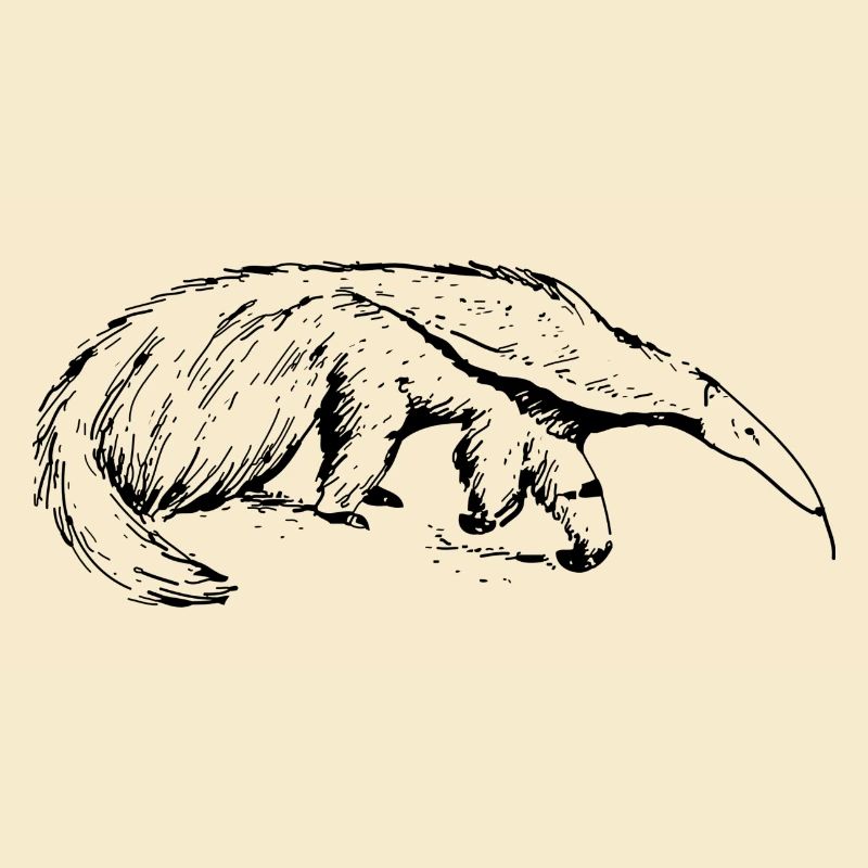 Ameisenbär