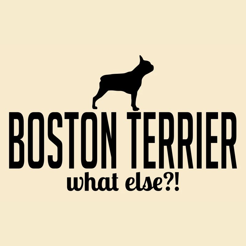 BOSTON TERRIER what else