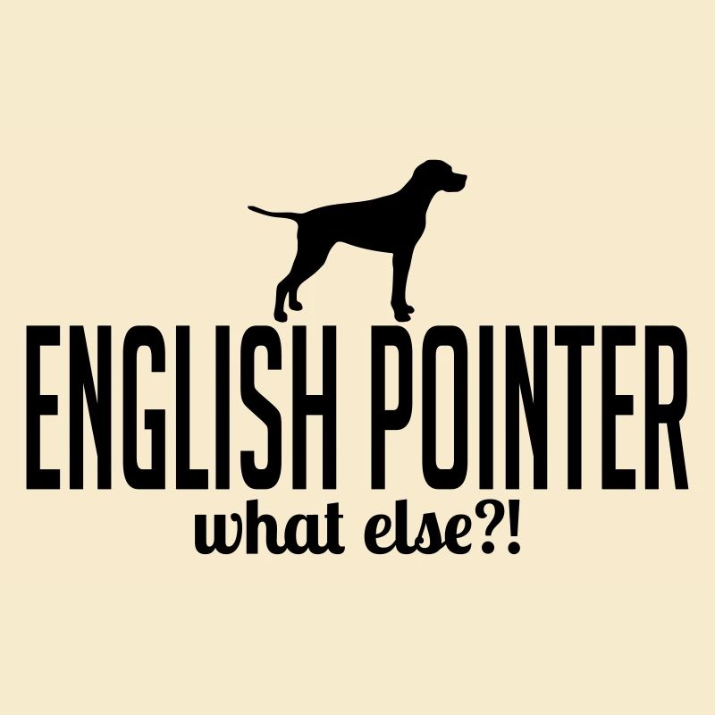 ENGLISH POINTER what else