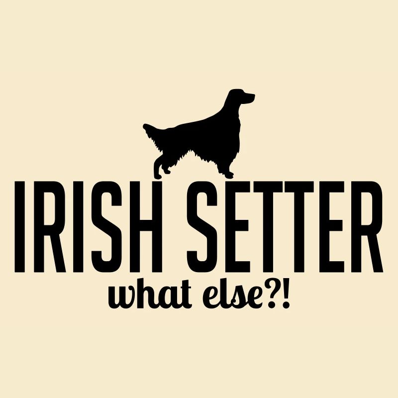 IRISH SETTER what else
