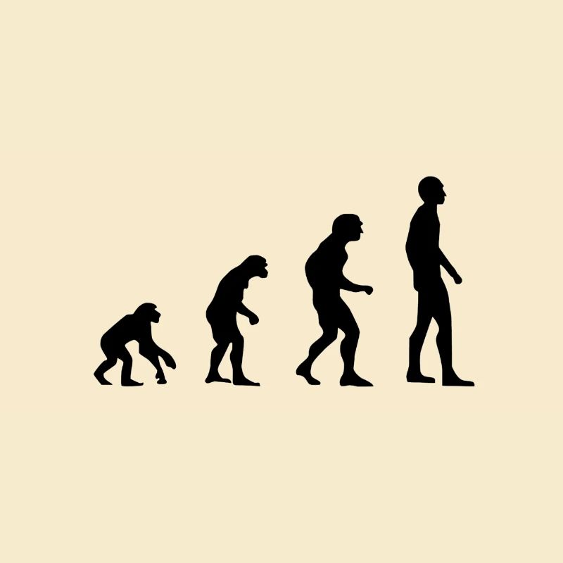évolution