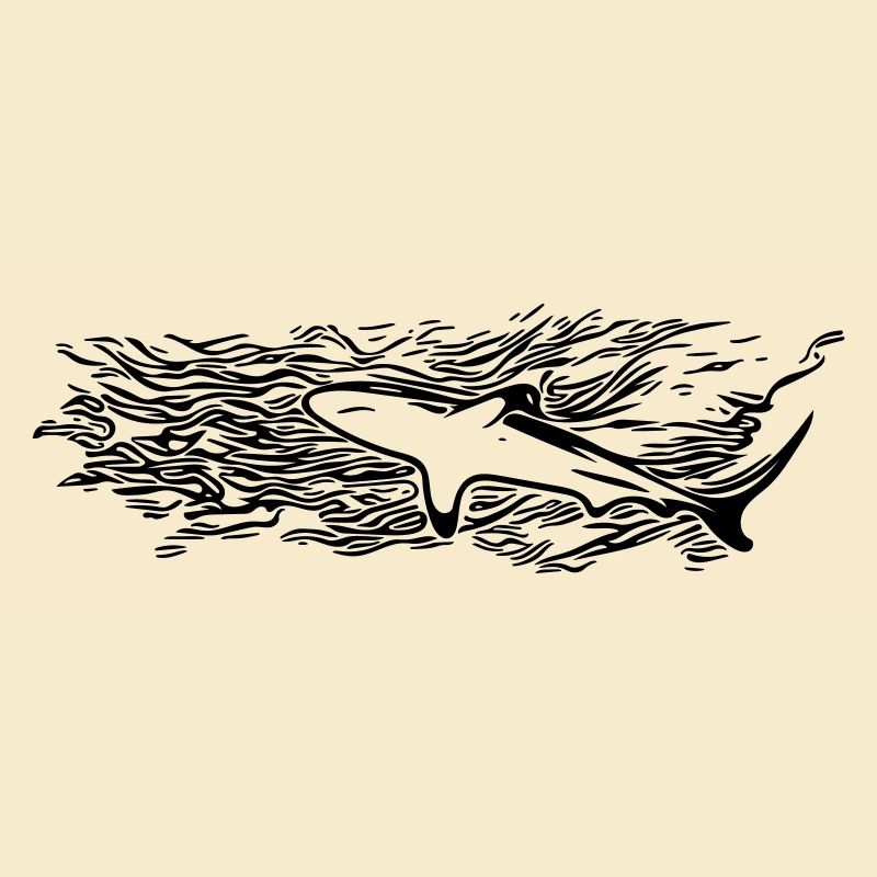 shark