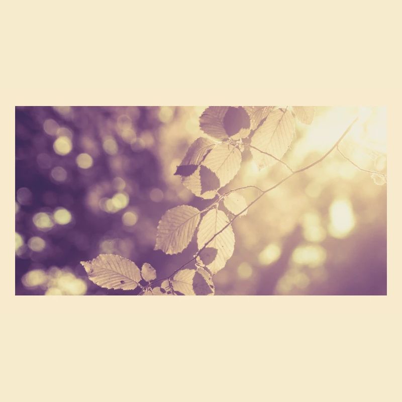 Branch in backlight