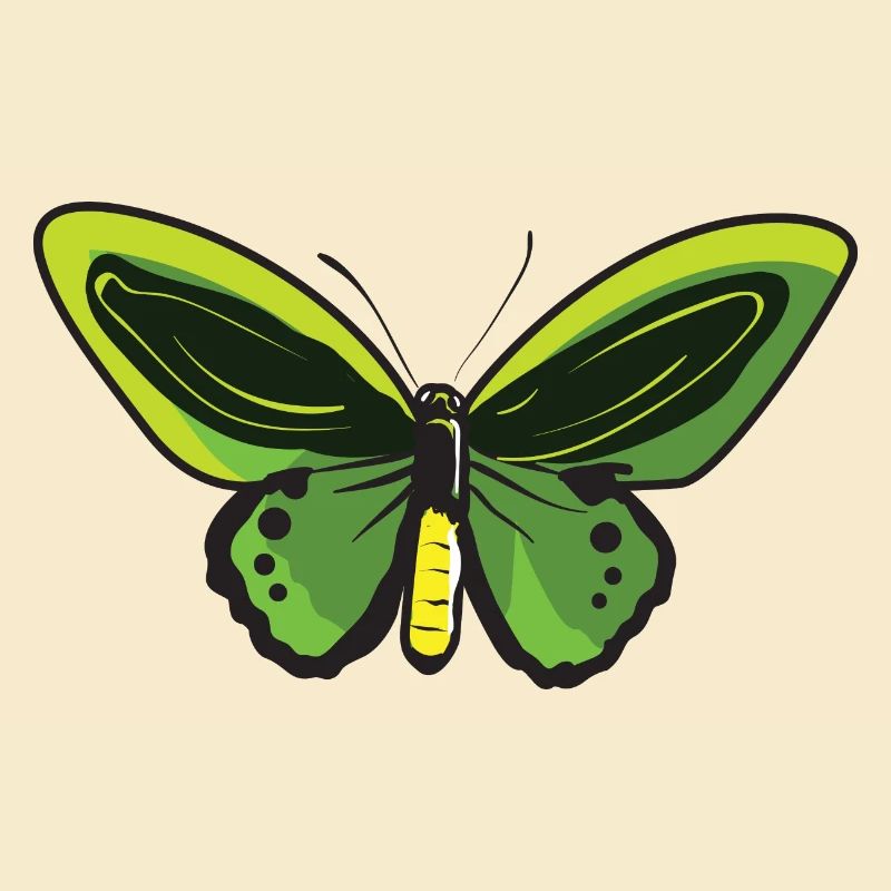 Papillon citron Papillon Papillon papillon
