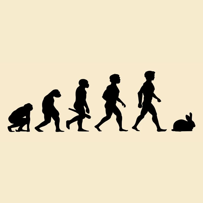 Evolution Kaninchen Karnickel Hase Häschen Nager