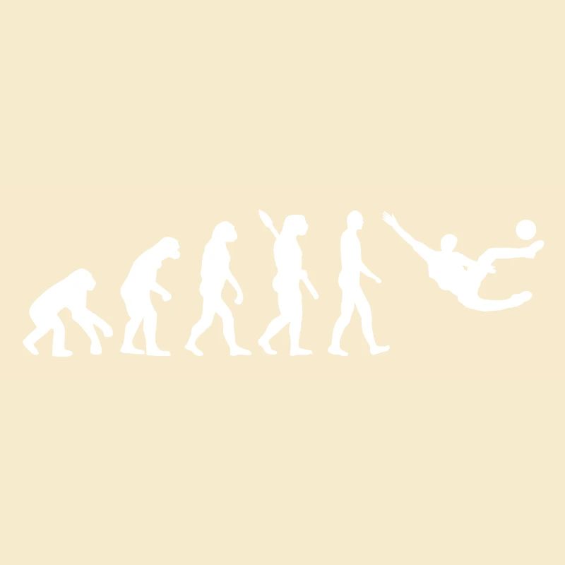Evolution Fussball