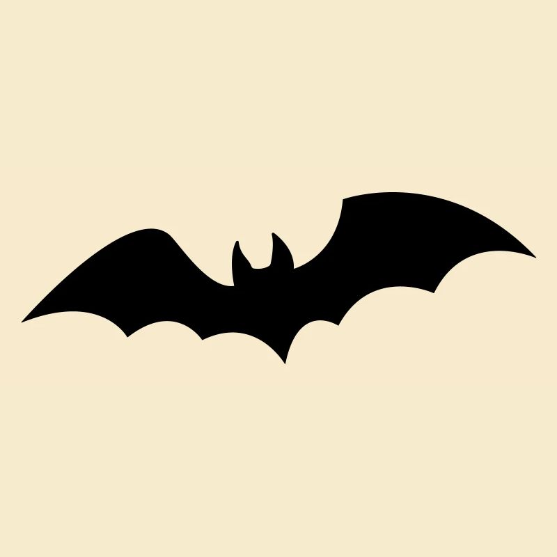 Fledermaus