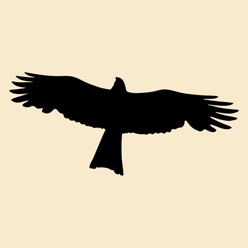 Falke - Raubvogel