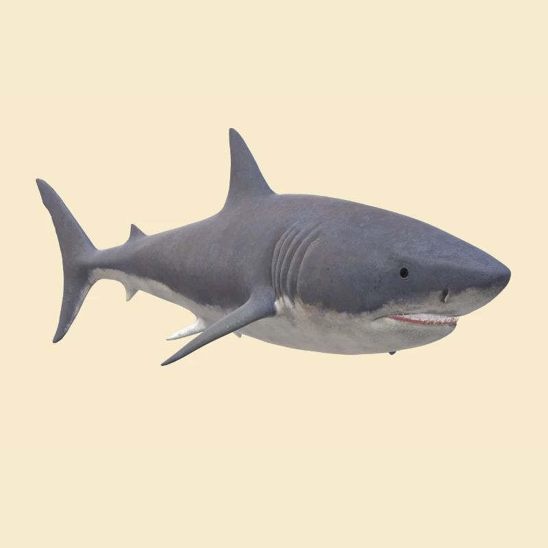 Hai