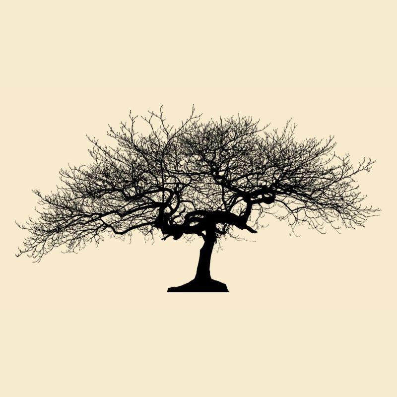 Schöner Baum