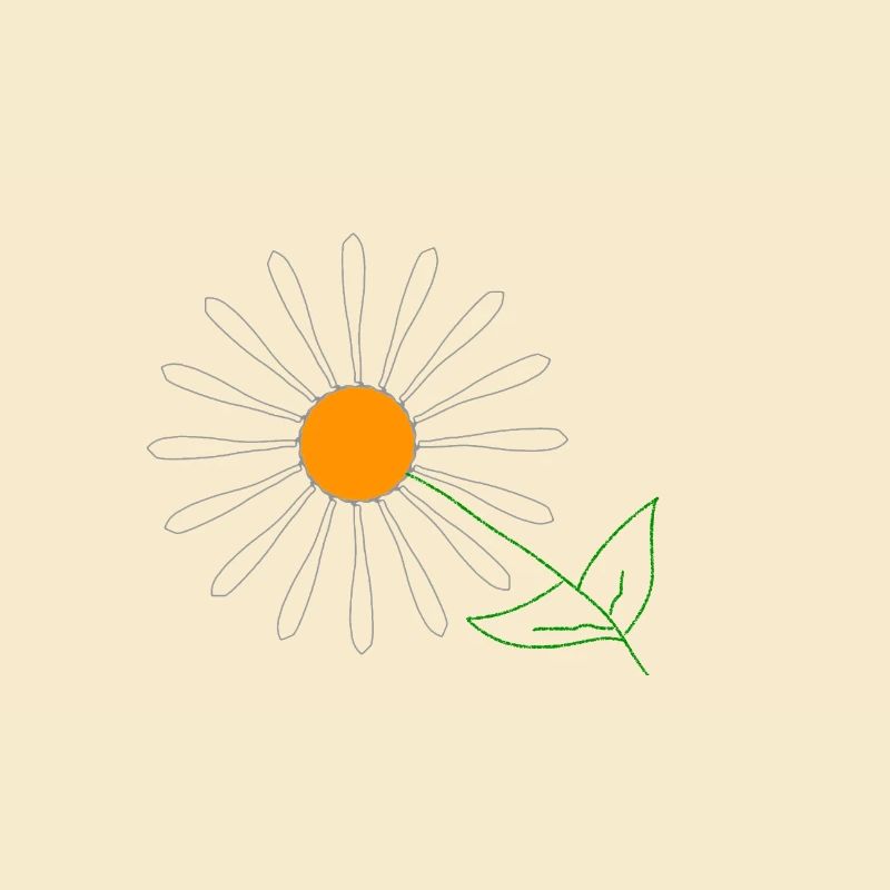 Sonnenblume