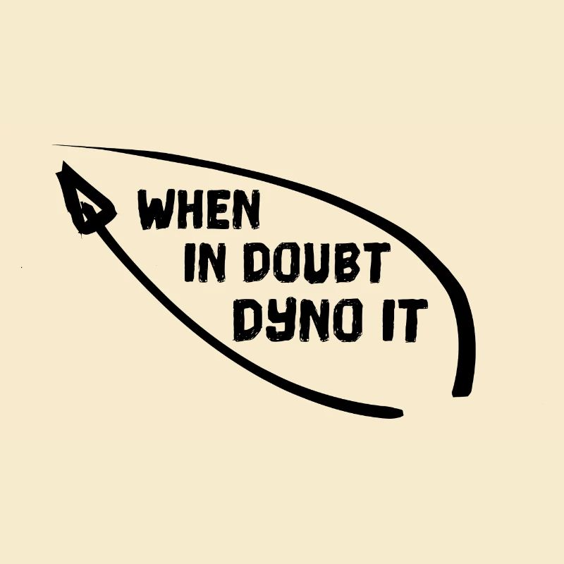 WHEN IN DOUBT DYNO IT Klettern bouldern Kletterer