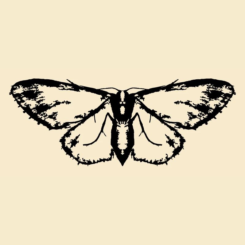 Papillon / Papillon / Papillon