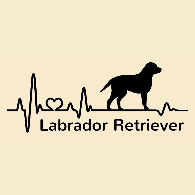 Labrador Retriever Herzfrequenz Herzschlag Liebe
