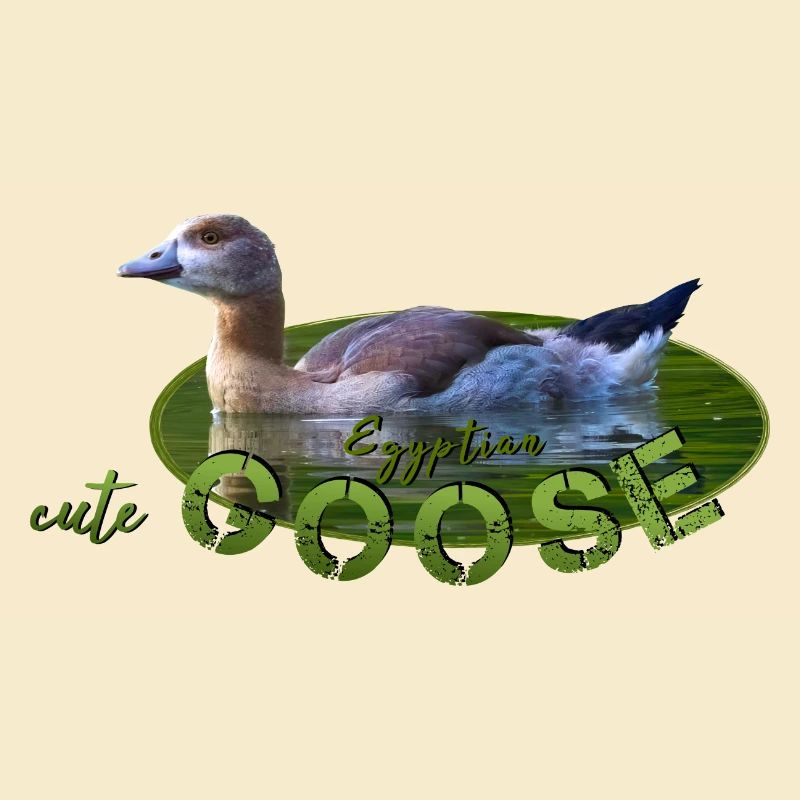 Nilgans Küken Vogel Gans