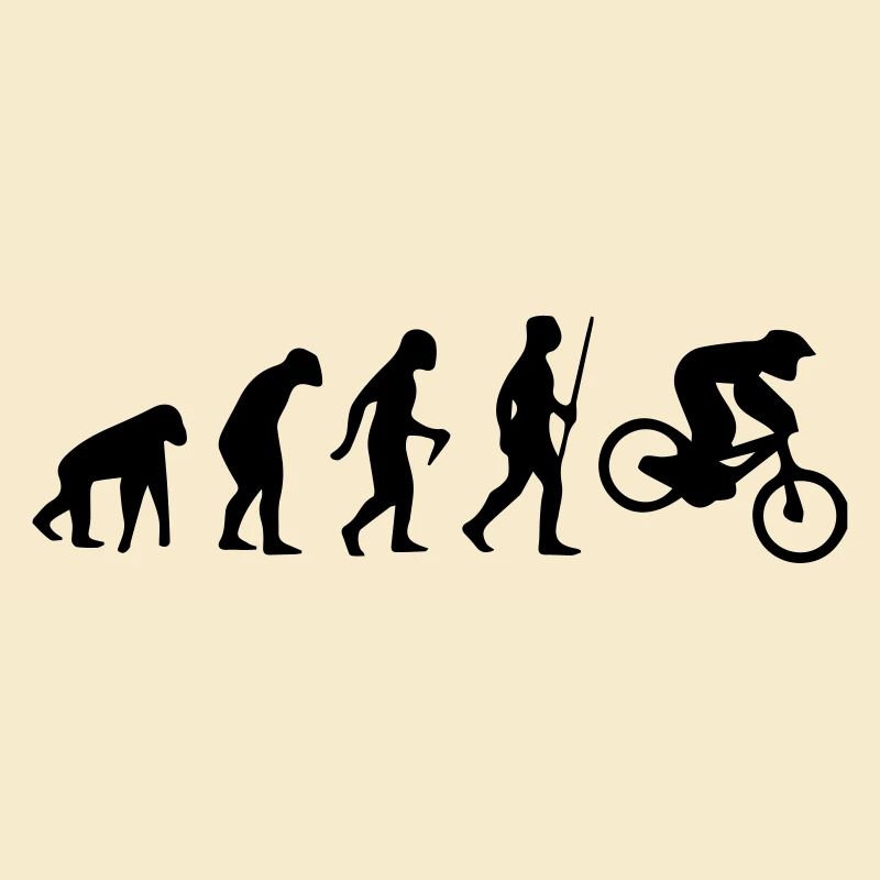 MOTORCROSS EVOLUTION