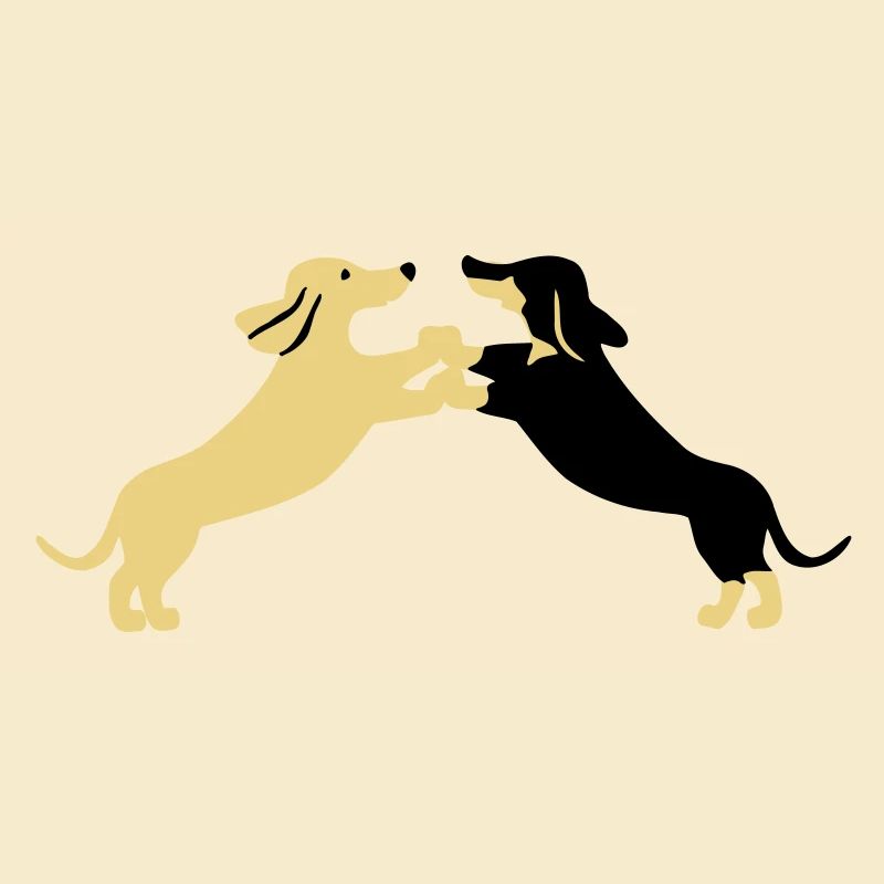 dog dancing teckel