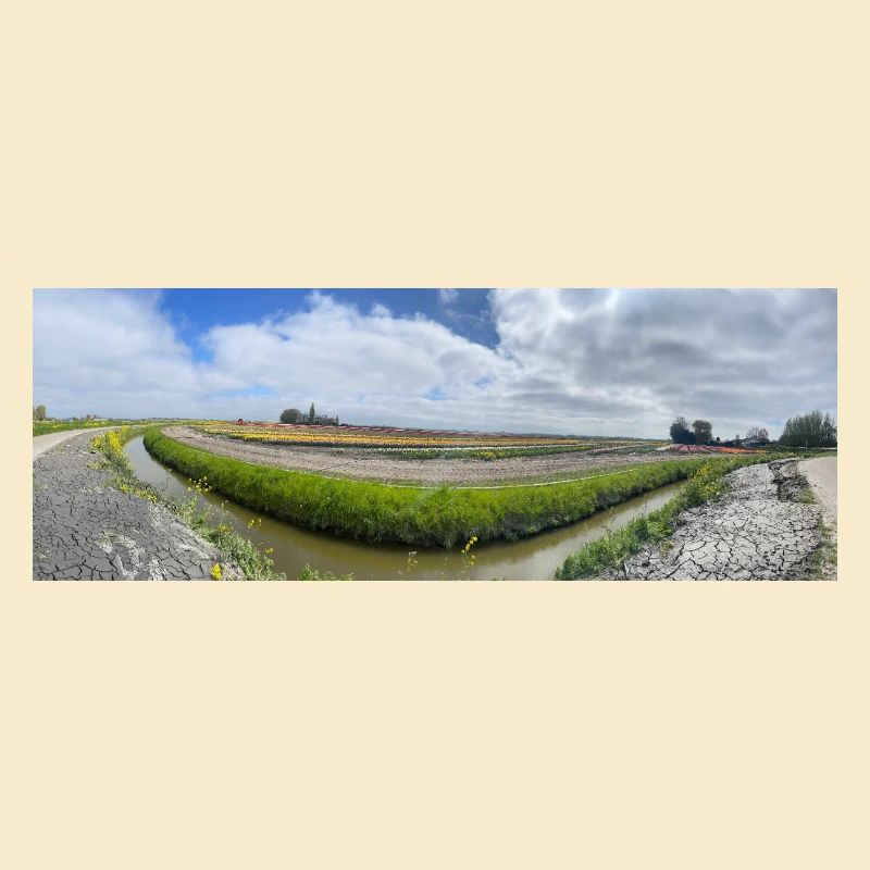 Panoramic field with ditch and flowers